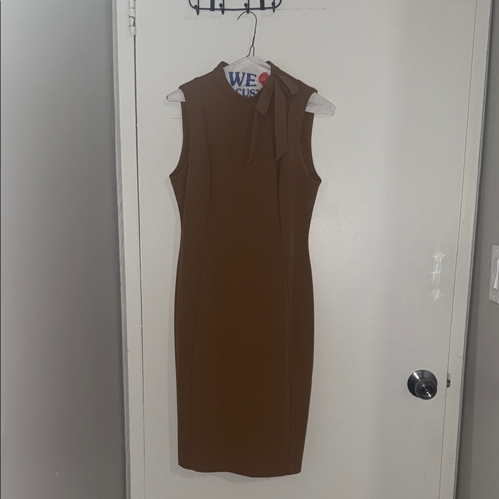 Calvin Klein Brown Sleeveless Sheath Dress